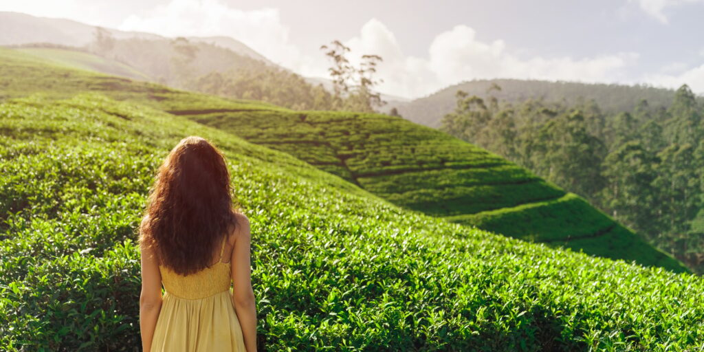 Exploring Nuwara Eliya