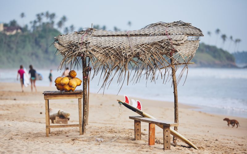 Stall with coconut against beach with surfers. Matara, Sri Lanka