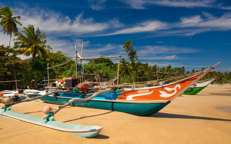 Traditional fishing boats on a sandy beach. Sri Lanka