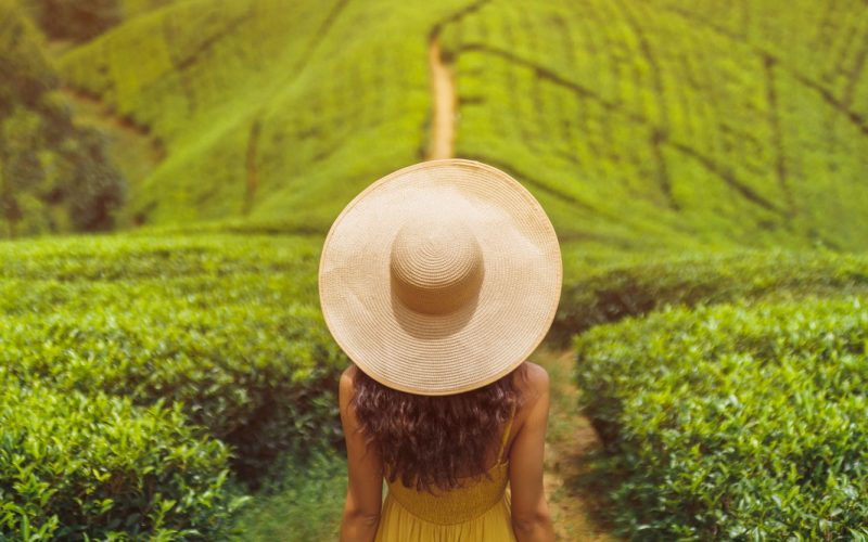 Woman Traveler in Front of Nature Background Tea Plantations Landscape in Sri Lanka